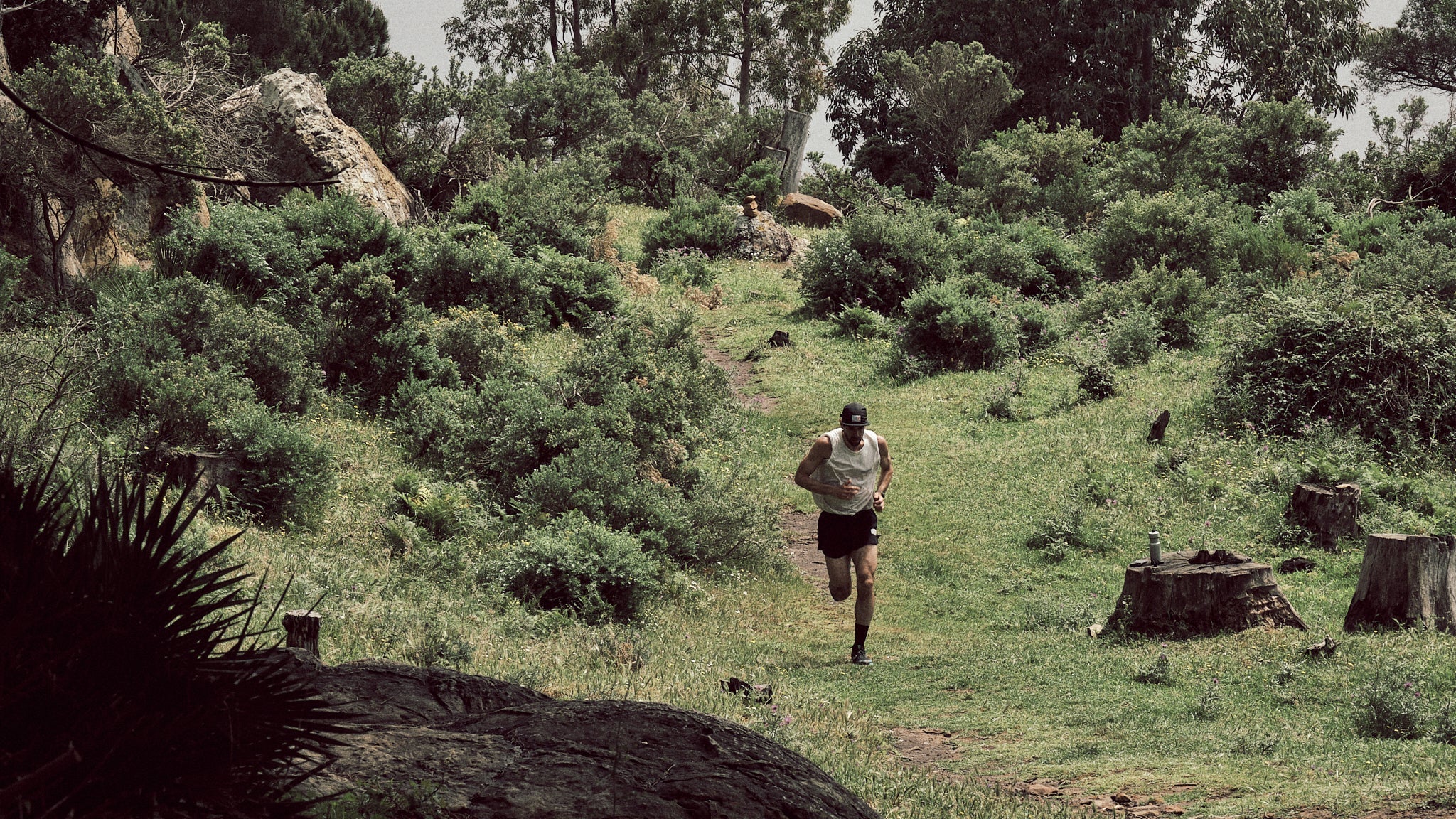 The Buddha Walk Challenge