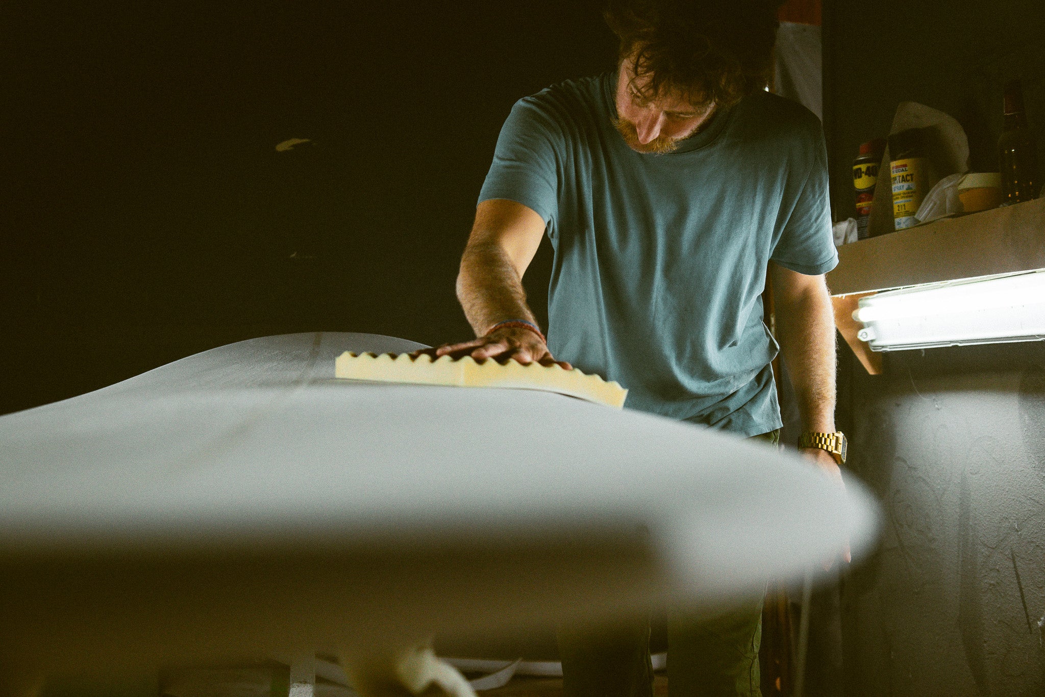 Field Notes #02 Figueira da Foz: Bazile Pinel and the Gliding Barnacles